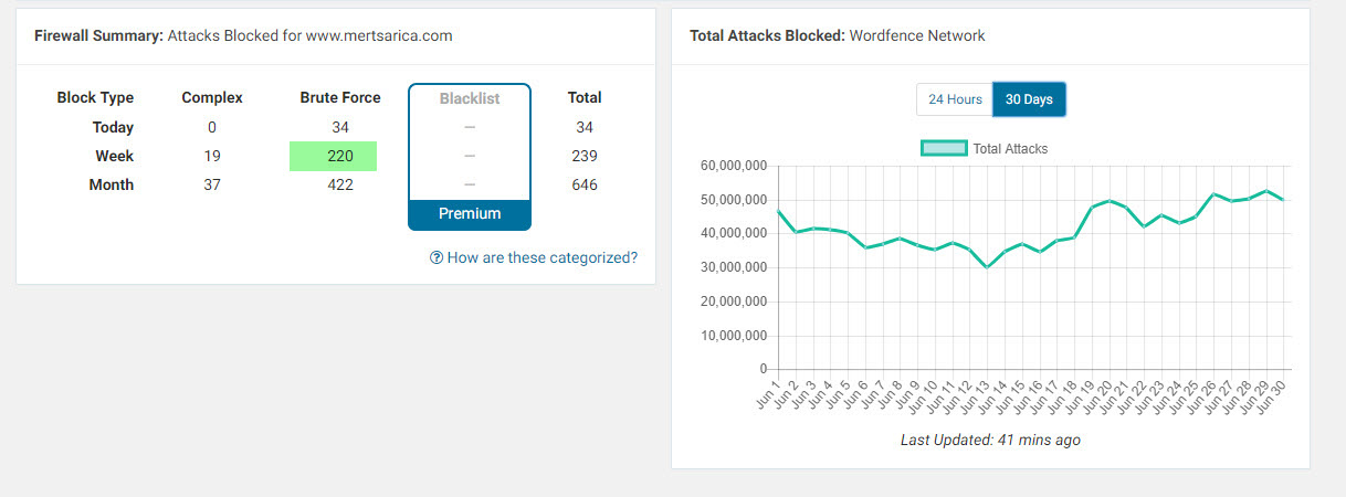 WordPress Security