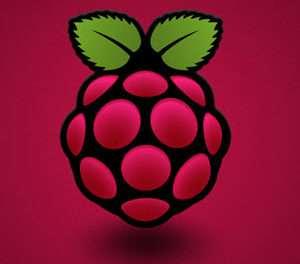 I Couldn’t Give Raspberry Pi #19